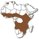 African Habitats